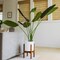 Bird of Paradise Artificial Plant - Fake Plants Tall, Tall Plants for Living Room Decor, Artificial Plants Indoor - Faux Plants Indoor Tall, Tall Fake Plants Indoor, Banana Tree, Banana Plant (5 FEET)